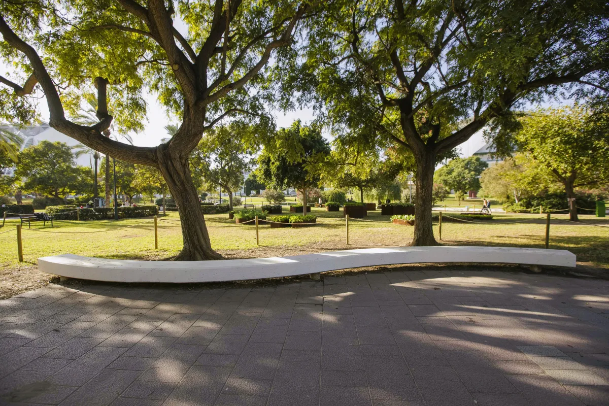 Esto nos salvará. Vista de dos árboles en el jardín